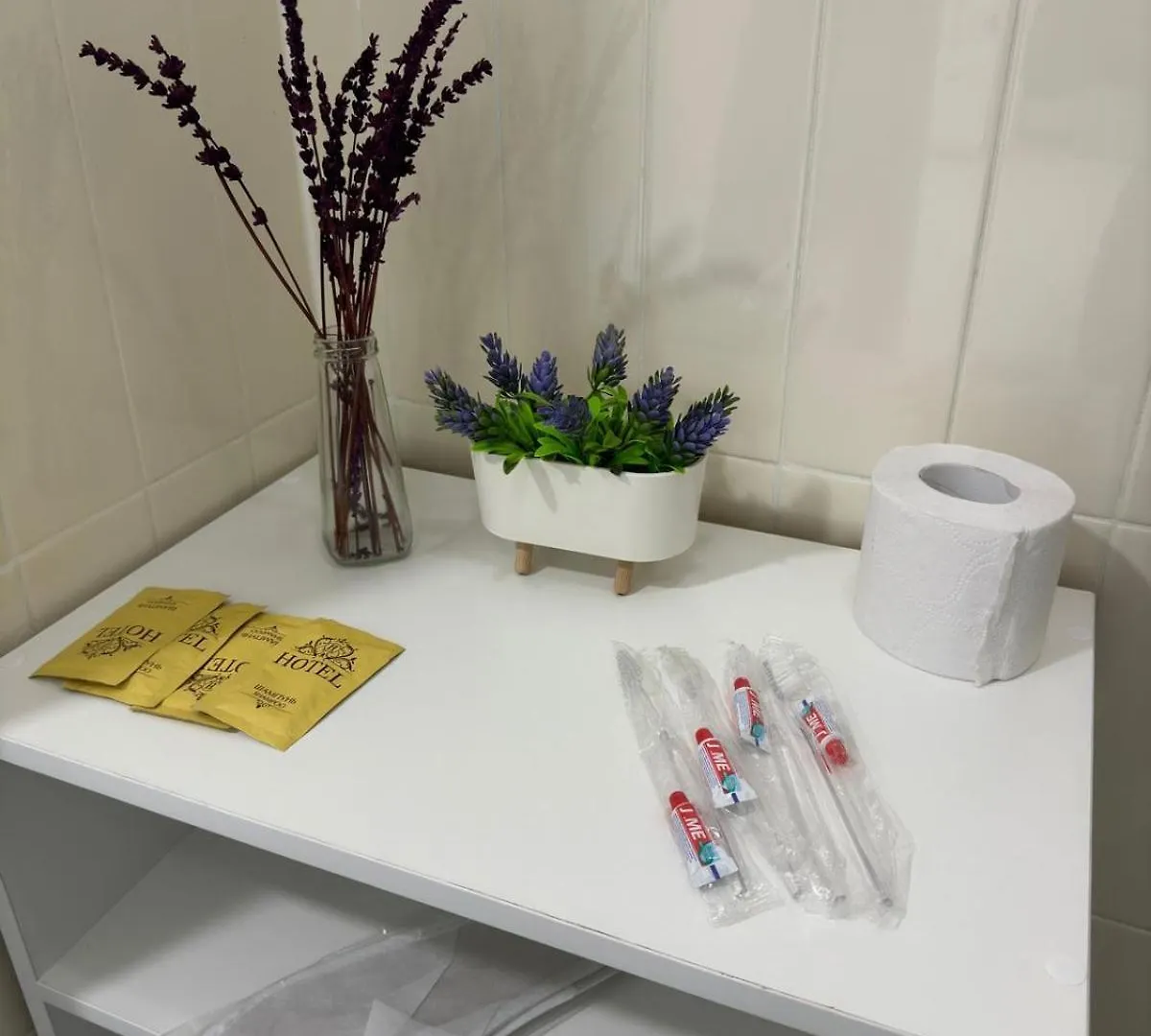 Lux Apartment Taldykol